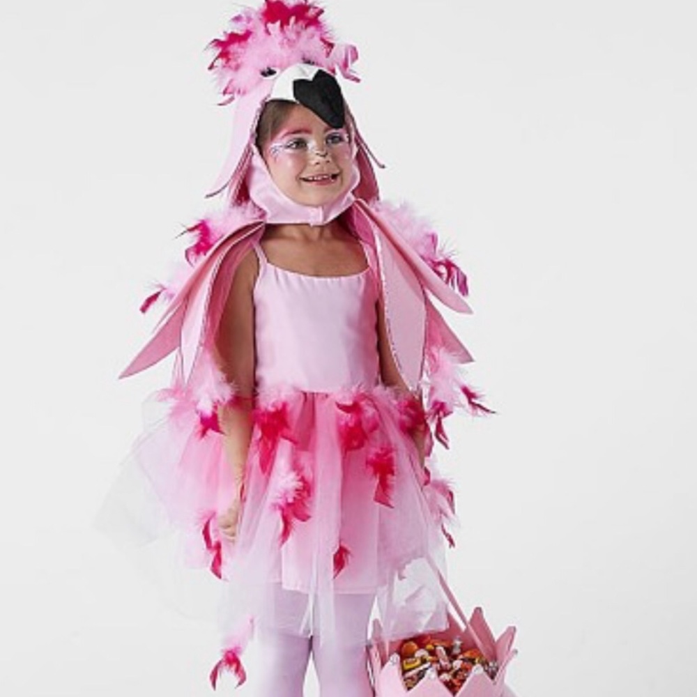 Pottery Barn Kids Flamingo Costume